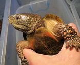 福建灵宠特种水产养殖场