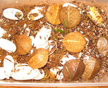 福建灵宠特种水产养殖场